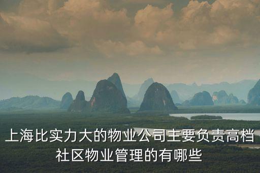 上海比實力大的物業公司主要負責高檔社區物業管理的有哪些