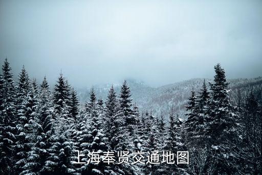 上海奉賢交通地圖
