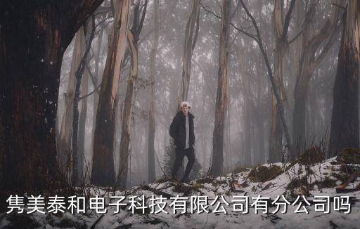 雋美泰和電子科技有限公司有分公司嗎