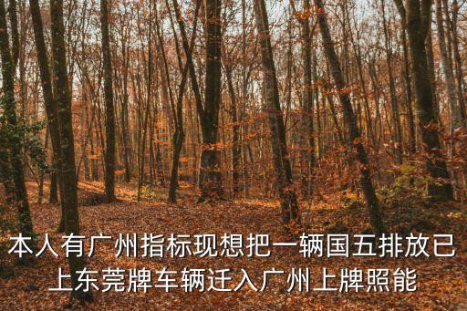 本人有廣州指標現(xiàn)想把一輛國五排放已上東莞牌車輛遷入廣州上牌照能