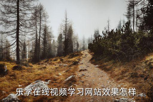 樂學在線視頻學習網站效果怎樣