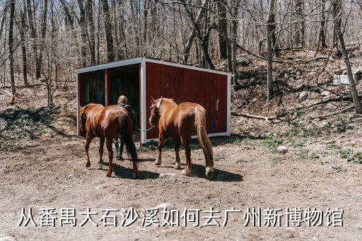 從番禺大石沙溪如何去廣州新博物館