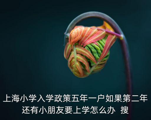 上海小學入學政策五年一戶如果第二年還有小朋友要上學怎么辦  搜
