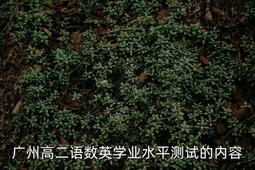 2020廣州市綜合測試二，廣州高二水平測試