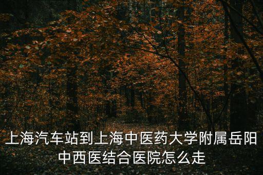 上海市岳陽中西結合醫院的地址，新場怎么去岳陽中西醫結合醫院