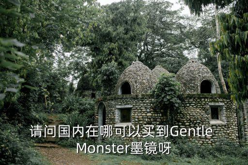 請問國內在哪可以買到Gentle Monster墨鏡呀