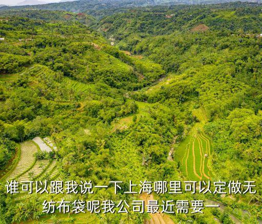 誰可以跟我說一下上海哪里可以定做無紡布袋呢我公司最近需要一