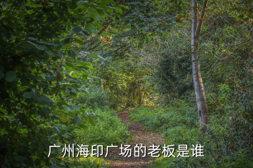 廣州張丹宇，廣州海印廣場的老板是誰