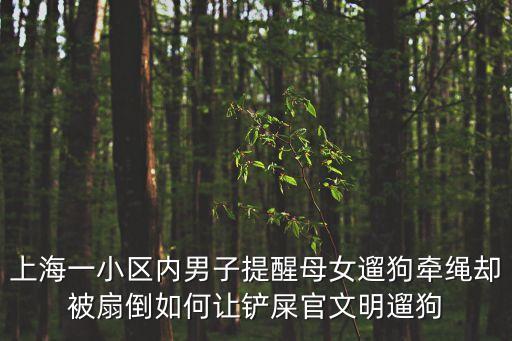 上海一小區內男子提醒母女遛狗牽繩卻被扇倒如何讓鏟屎官文明遛狗