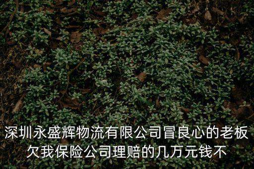 深圳永盛輝物流有限公司冒良心的老板欠我保險公司理賠的幾萬元錢不