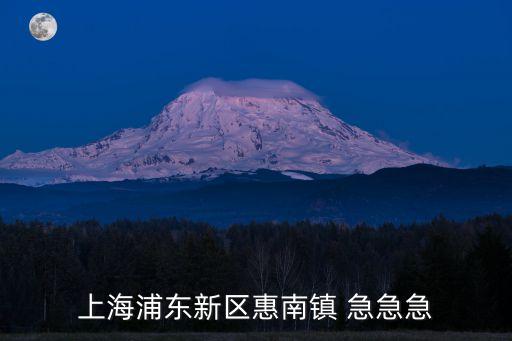 上海浦東新區惠南鎮 急急急