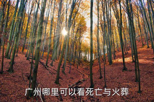 廣州哪里可以看死亡與火葬