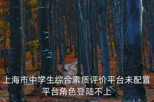 上海市中學生綜合素質評價平臺未配置平臺角色登陸不上