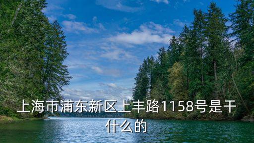 上海市浦東新區(qū)上豐路1158號是干什么的