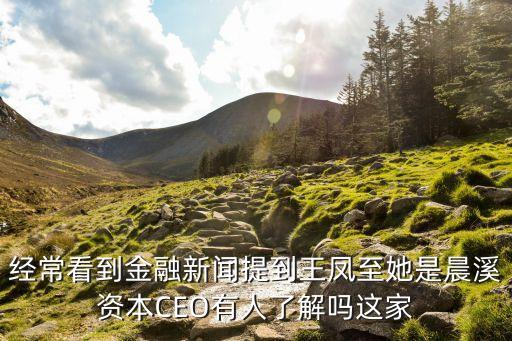 經常看到金融新聞提到王鳳至她是晨溪資本CEO有人了解嗎這家