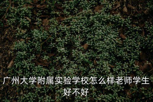 廣州大學(xué)附屬實驗中學(xué)怎么樣，請問廣大附屬實驗學(xué)校好嗎