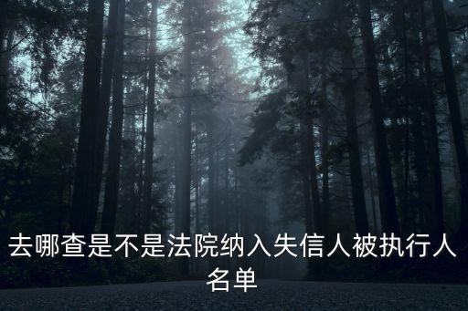 去哪查是不是法院納入失信人被執行人名單