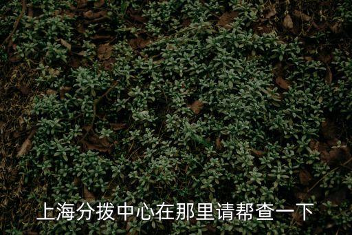 上海分撥中心在那里請幫查一下
