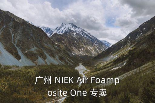 廣州 NIEK Air Foamposite One 專賣