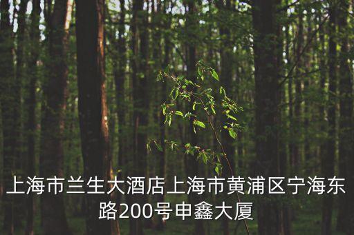 上海市蘭生大酒店上海市黃浦區寧海東路200號申鑫大廈