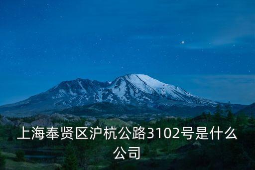 上海奉賢區滬杭公路3102號是什么公司