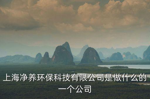 上海市凈養(yǎng)環(huán)保科技有限公司，上海凈養(yǎng)環(huán)保科技有限公司怎么樣