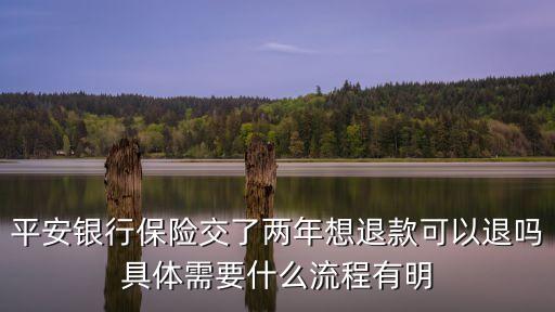 平安銀行保險交了兩年想退款可以退嗎具體需要什么流程有明