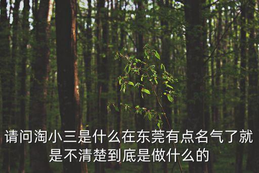請問淘小三是什么在東莞有點名氣了就是不清楚到底是做什么的