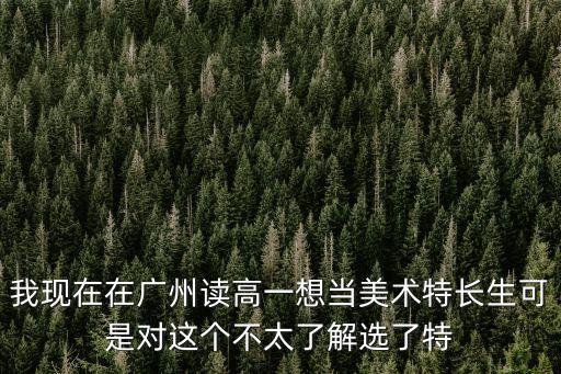 我現在在廣州讀高一想當美術特長生可是對這個不太了解選了特