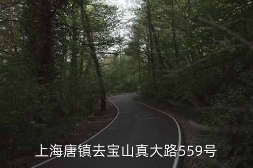 上海唐鎮去寶山真大路559號