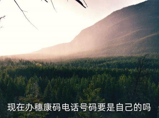 現在辦穗康碼電話號碼要是自己的嗎