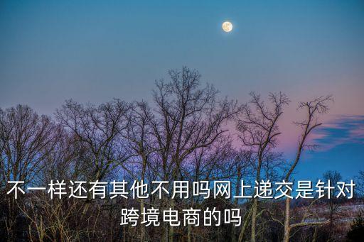 不一樣還有其他不用嗎網(wǎng)上遞交是針對(duì)跨境電商的嗎