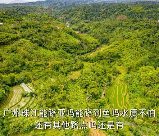 廣州珠江能路亞嗎能路到魚嗎水質不怕還有其他路點嗎還是有