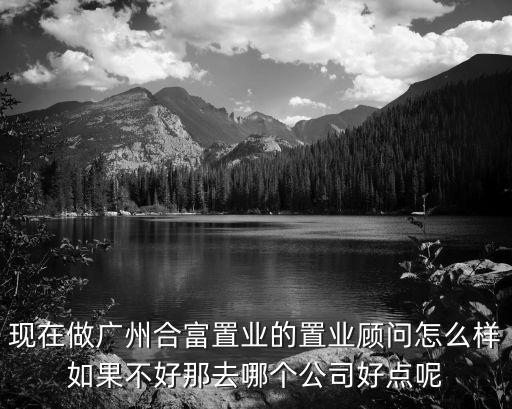 廣州置業合板，現在做廣州合富置業的置業顧問怎么樣如果不好那去哪個公司好點呢