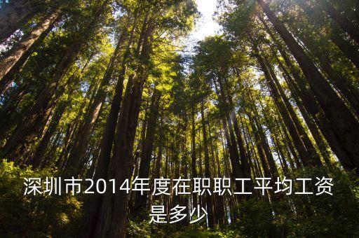 2014年深圳年平均工資是多少，深圳市2014年度在職職工平均工資是多少