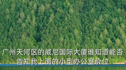 廣州天河區(qū)的威尼國際大廈誰知道能否告知我上面的小型辦公室價(jià)位