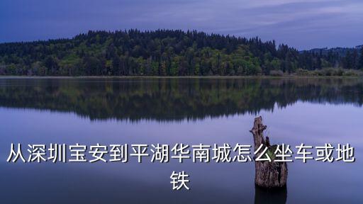 從深圳寶安到平湖華南城怎么坐車或地鐵