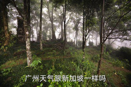 廣州天氣跟新加坡一樣嗎