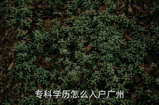 大專文憑怎樣入戶廣州，專科學歷怎么入戶廣州