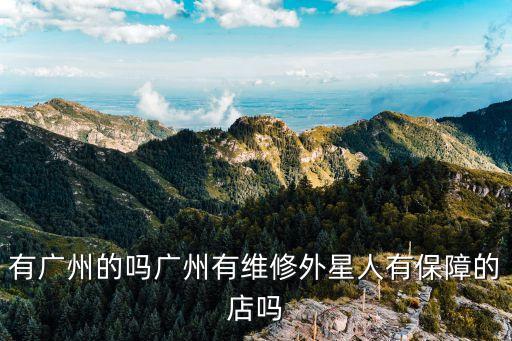 有廣州的嗎廣州有維修外星人有保障的店嗎