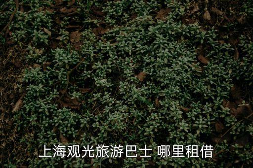 上海觀光旅游巴士 哪里租借