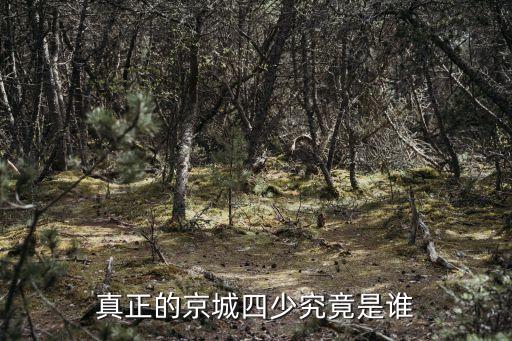 前任上海市汪道涵市長，汪道涵的資料