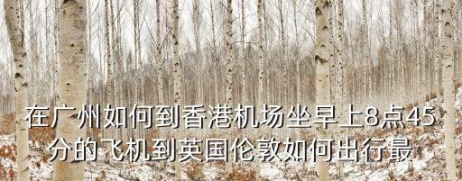 在廣州如何到香港機(jī)場(chǎng)坐早上8點(diǎn)45分的飛機(jī)到英國(guó)倫敦如何出行最