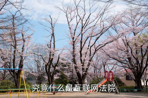 究竟什么是互聯網法院