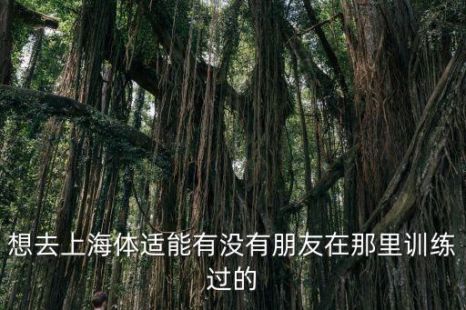 想去上海體適能有沒有朋友在那里訓練過的