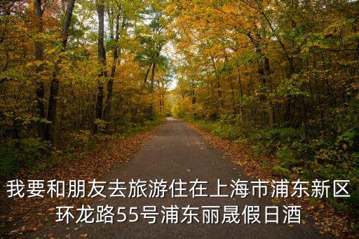 我要和朋友去旅游住在上海市浦東新區(qū)環(huán)龍路55號(hào)浦東麗晟假日酒