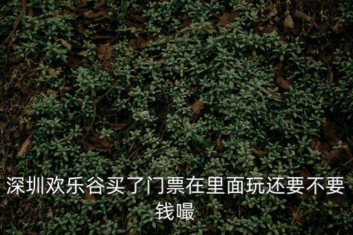 深圳歡樂谷進去里面玩還要收費嗎，深圳歡樂谷買了門票在里面玩還要不要錢嘬