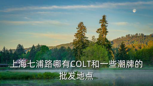 上海市潮牌復刻批發城，上海七浦路有潮牌批發嗎