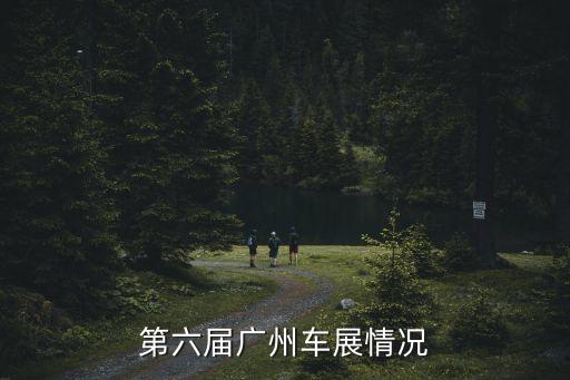第六屆廣州車展情況