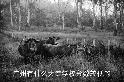 廣州有什么大專學校分數較低的
